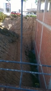 JARDINES CORAL CREVILLENTINA 1