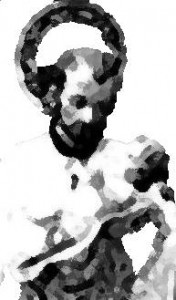 11703058_133345763664505_2865173678313301969_n