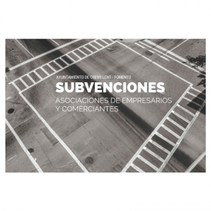 SUBVENCIONES
