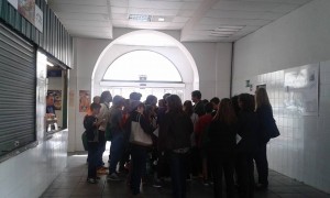 visita mercado escolares