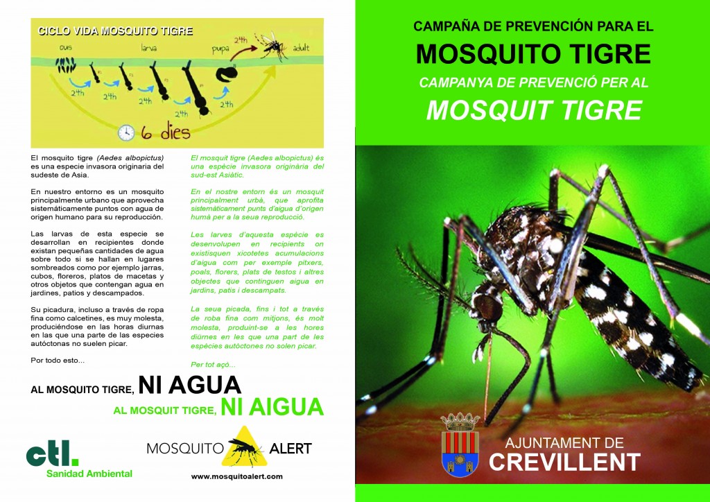 Dipticos Mosquits_Crevillent2